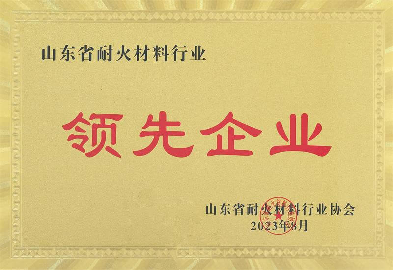 领先企业